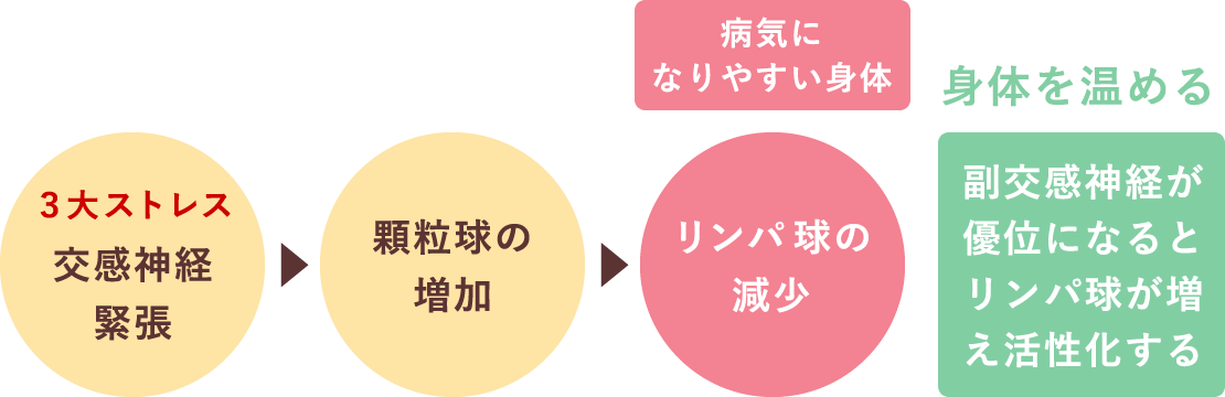 体を温めることで、体内細胞が活性化し、血流が良くなることで免疫力が高まります。